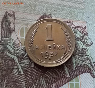 1 копейка 1937. До 26.08.24 в 22.00 - 20240822_201855