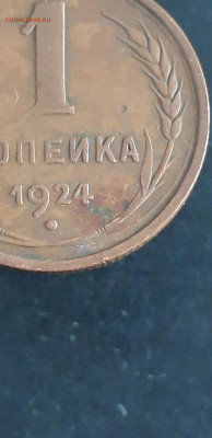 1 КОПЕЙКА 1924 год. ДОМАШНЯЯ! До 29.08 - 20240824_110846
