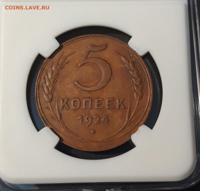 5 КОПЕЕК 1924 года. ШИКАРНЫЙ! ДОМАШНИЙ До 30.08 - 20240814_202240