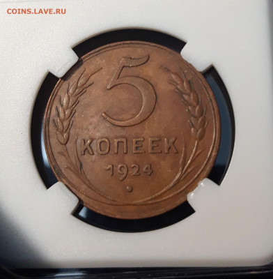 5 КОПЕЕК 1924 года. ШИКАРНЫЙ! ДОМАШНИЙ До 30.08 - 20240814_202312