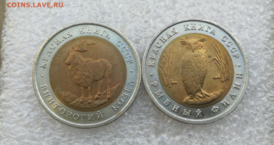 5 руб 1991г КК Козёл и филин до 3.09 в 22-00 - IMG_20240828_184435