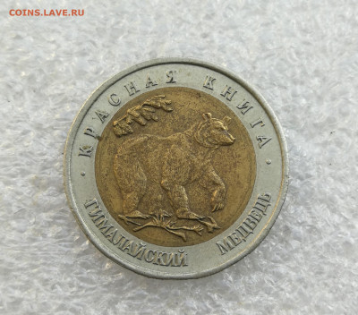 50 руб 1993г красная книга медведь до 3.09 в 22-00 - IMG_20240828_184335