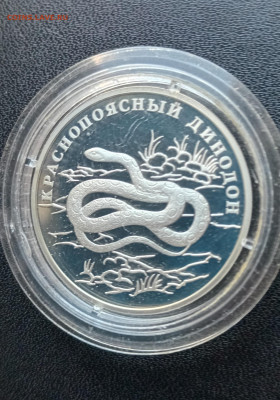 1 рубль 2007 Краснопоясный динодон До 01.09.2024 20-00мск - 20240825_145702