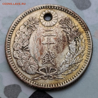 Япония 20 сен 1899 отверстие до 22-00 30.08 - PXL_20240829_043229813~2