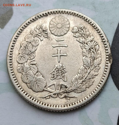 Япония 20 сен 1891 до 22-00 30.08 - PXL_20240829_043207629~2