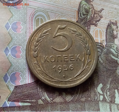 5 копеек 1956. До 03.09.24 в 22.00 - 20240829_155534