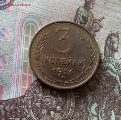 3 копейки 1956. До 03.09.24 в 22.00 - 20240829_171741