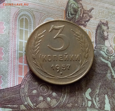 3 копейки 1957. До 03.09.24 в 22.00 - 20240829_172018