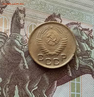 1 копейка 1954. До 03.09.24 в 22.00 - 20240829_204123