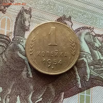 1 копейка 1954. До 03.09.24 в 22.00 - 20240829_204054