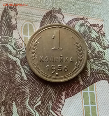 1 копейка 1956. До 03.09.24 в 22.00 - 20240829_204456