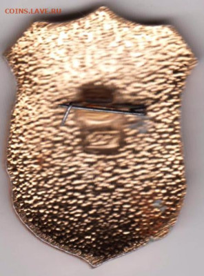 24 г. в 23.00 - 008