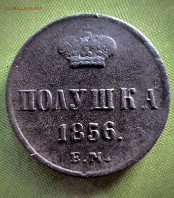 Полушка 1856 ем до 7.09.2024 - IMG_3162