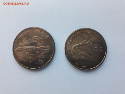5 юаней 1999 крокодил - брак или разновидность? - 20240901_094659