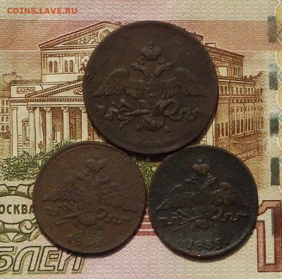 1 и 2 коп. крылья вниз до  05.09 в 22.00 - DSCN1281.JPG
