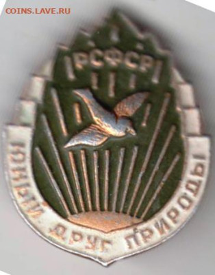 24 г. в 23.00 - 038