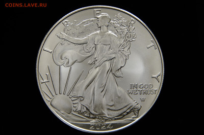 UNC 1 доллар, шагающая свобода 2024 Америка, США. до 11.09 - _DSC0016.JPG