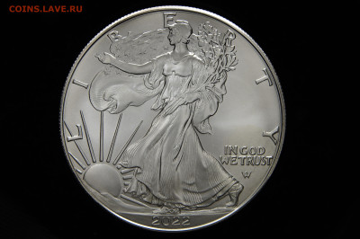 UNC 1 доллар, шагающая свобода 2022 Америка, США. до 11.09 - _DSC0070.JPG