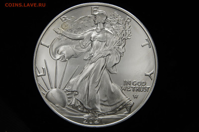 UNC 1 доллар, шагающая свобода 2021 Америка, США. до 11.09 - _DSC0076.JPG