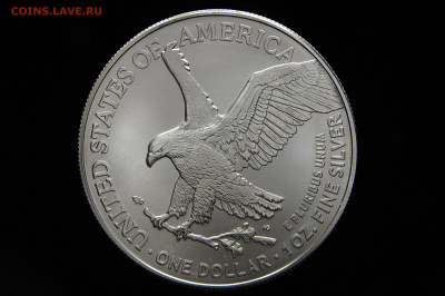 UNC 1 доллар, шагающая свобода 2021 Америка, США. до 11.09 - _DSC0077.JPG