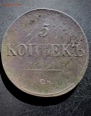 5 копеек 1831 см до 9.09.2024 - IMG_3364