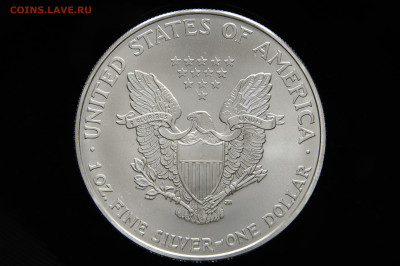 UNC 1 доллар, шагающая свобода 2007 Америка, США. до 11.09 - _DSC0140.JPG