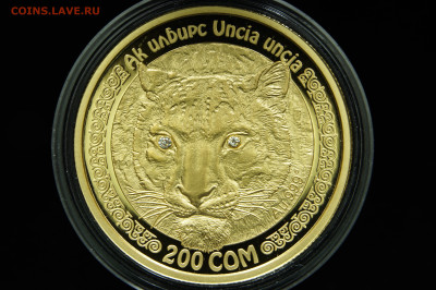 200 сом 2015 года, Снежный барс, брилианты. до 08.09 - _DSC0930.JPG