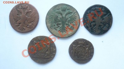 Деньга 4 шт.(1731,1749,1772 "Сибирь") и копейка 1771"Сибирь" - P1090115.JPG