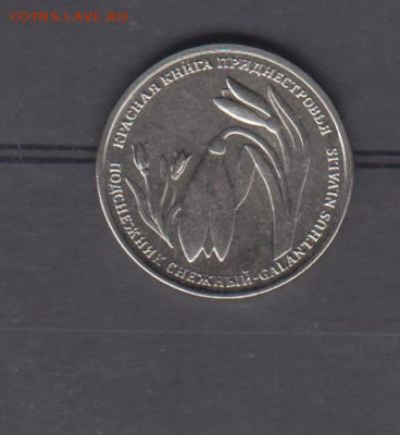 ПМР 2020 1р подснежник до 10 09 - 58