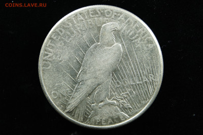 1 доллар, мирный 1922 Америка, США пис, peace. до 12.09 - _DSC2243.JPG