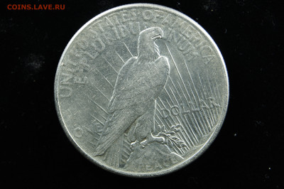 1 доллар, мирный 1925 Америка, США пис, peace. до 12.09 - _DSC2328.JPG