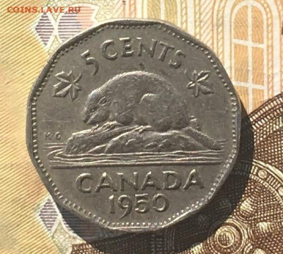 Канада 5 центов 1950 до 12.09.24 в 22.00 - IMG_E0501.JPG