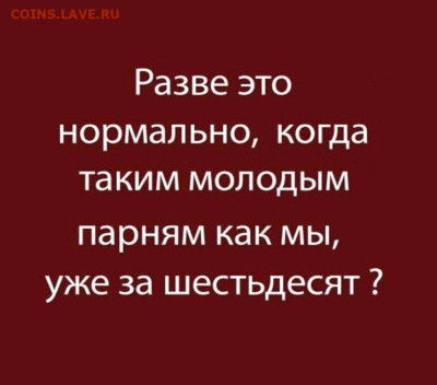 Юмор - Изображение WhatsApp 2024-08-31 в 22.33.40_c3ec84cd