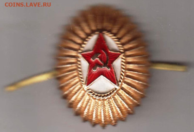 24 г. в 23.00 - 023