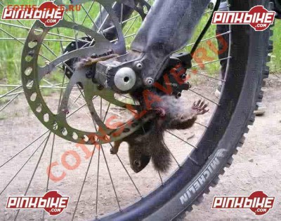 Ассоциации к аватаре - pbpic1418346