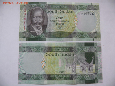 Южный Судан 1 фунт 2011 unc - P1370783.JPG