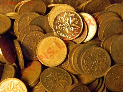 800 монет США и Канады - DSCN3279.JPG