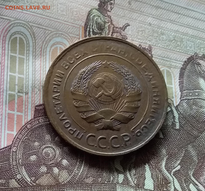 5 копеек 1931. До 17.09.24 в 22.00 - 20240912_131113
