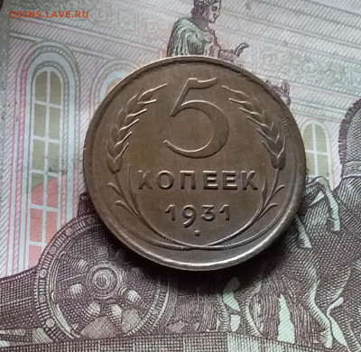 5 копеек 1931. До 17.09.24 в 22.00 - 20240912_131054