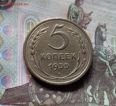 5 копеек 1955. До 17.09.24 в 22.00 - 20240912_133841