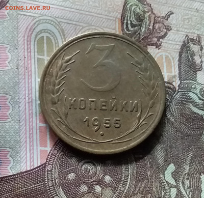 3 копейки 1955. До 17.09.24 в 22.00 - 20240912_145442