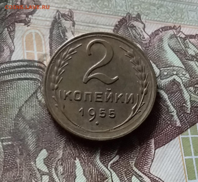2 копейки 1955. До 17.09.24 в 22.00 - 20240912_163155