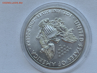 2013 США 1 доллар Шагающая Свобода серебро до 14.09 22:00 - IMG_20240829_155143