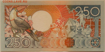 Суринам 250 гульденов 1988 г. С рубля! до 18.09.24 - DSCN1149.JPG