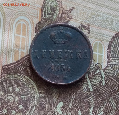 Денежка 1854. До 21.09.24 в 22.00 - 20240917_225157