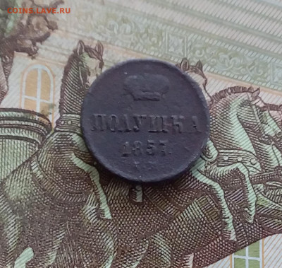 Полушка 1857. До 21.09.24 в 22.00 - 20240917_231301