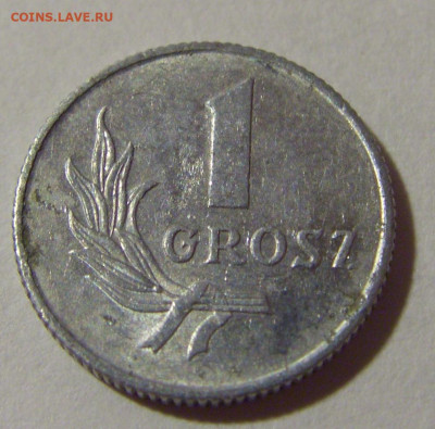 1 грош 1949 Польша №1 24.09.2024 22:00 М - CIMG0873.JPG