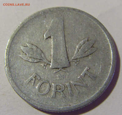 1 форинт 1949 Венгрия №1 24.09.2024 22:00 М - CIMG1425.JPG