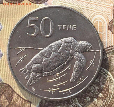 Острова Кука 50 тене 1988 Черепаха до 24.09 в 22.00 - IMG_E0743.JPG
