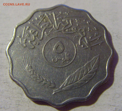 5 филс 1974 Ирак №1 24.09.2024 22:00 М - CIMG2240.JPG